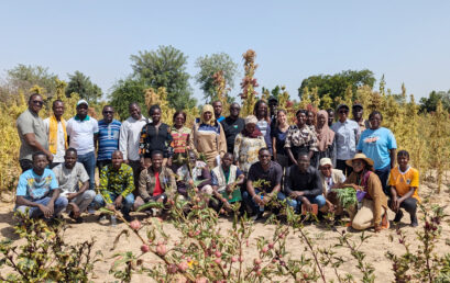 Projet SUSTLIVES : Immersion des parties prenantes dans le champ expérimental des Nus de l’UJZ à Gampèla